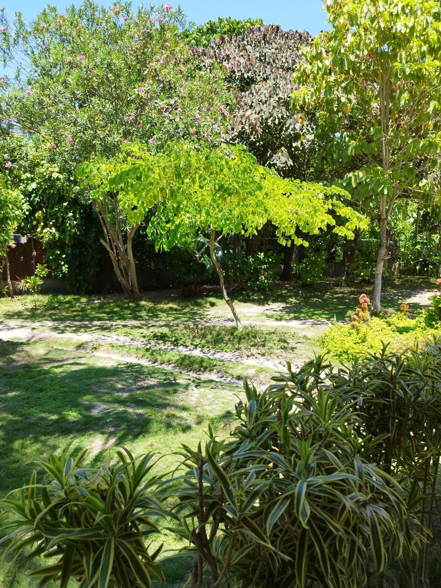 Celtis Resort Malapascua Extérieur photo