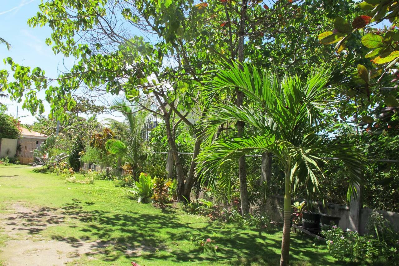 Celtis Resort Malapascua Extérieur photo